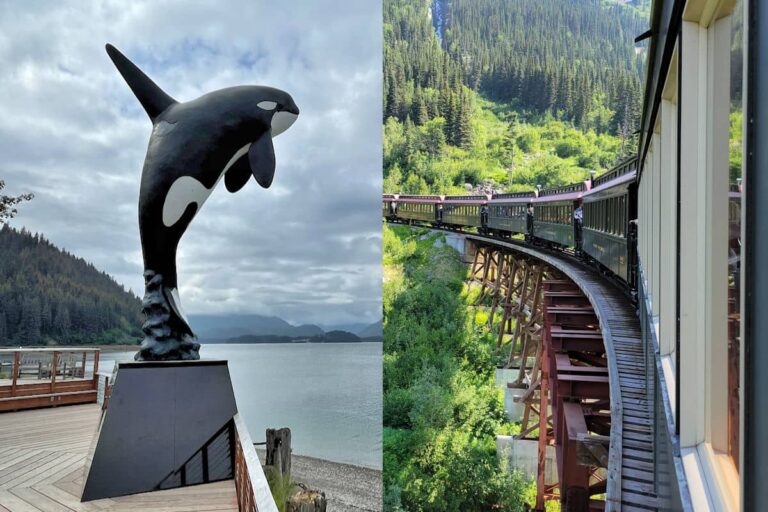 Icy Strait Point orca and Skagway train