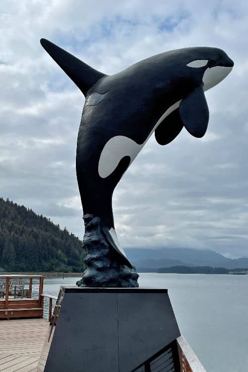 A Day In Icy Strait Point: Exploring Alaska's Wilderness - Alaska Trippers