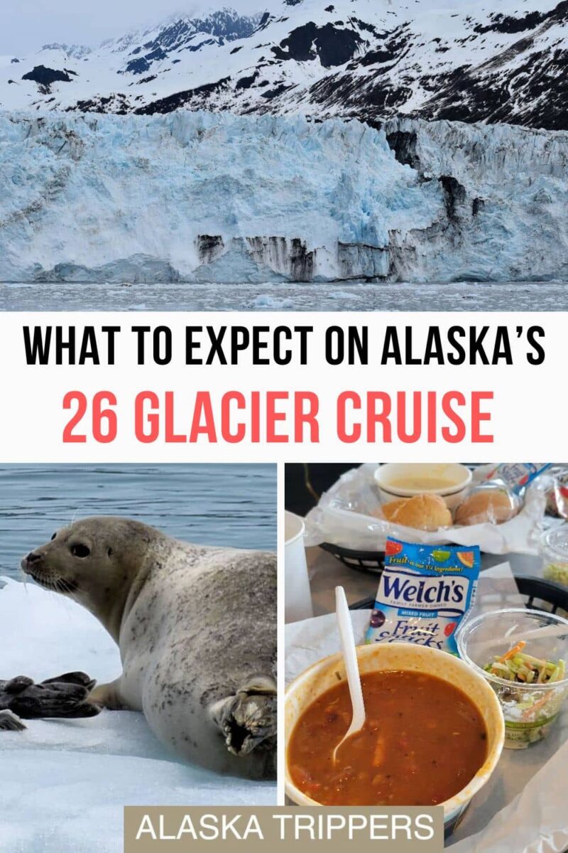 Get the inside scoop on the 26 Glacier Cruise in Whittier, Alaska. Our review reveals everything you need to know such as the meal included, how to get to Whittier, what to wear, and what wildlife you could see. Harvard Glacier, harbor sea and chili, from the 26 Glacier Cruise in Whittier