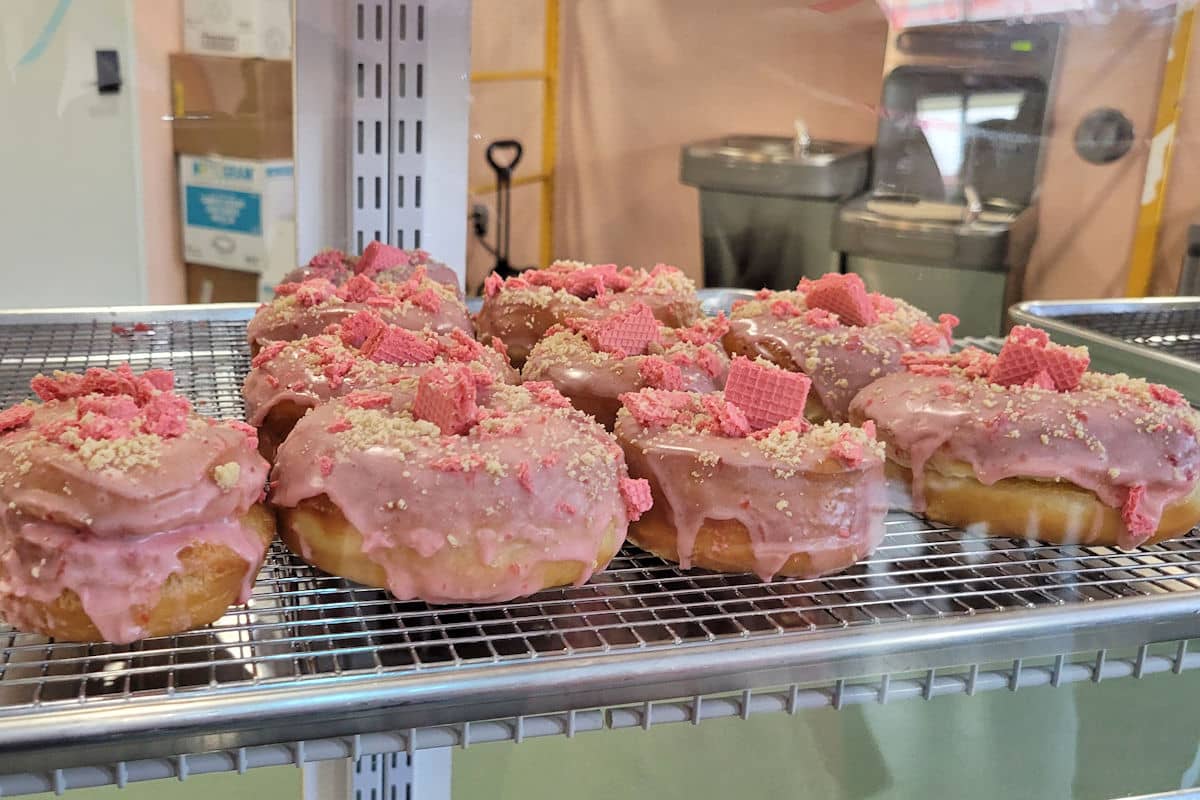 Jellyfish donuts