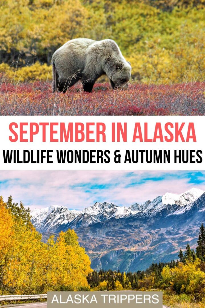 Alaska In September: A Fall Wonderland And Aurora Skies - Alaska Trippers