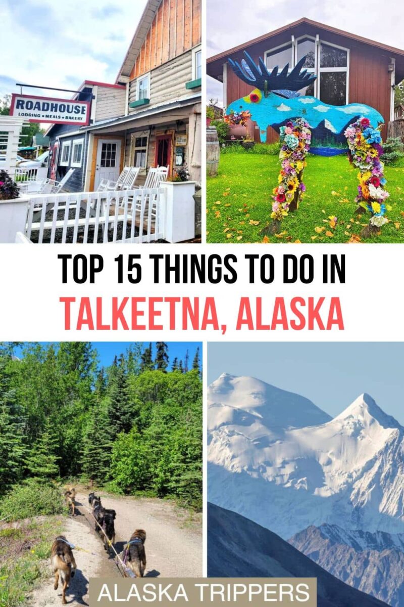 Uncover the top 15 things to do in Talkeetna, Alaska, with our ultimate travel guide. Experience stunning landscapes, unique activities, and local culture in this picturesque town. Whether you want a serene activity or prefer something adventurous, this town provides something for every budget. Sights and attractions in Talkeetna, Alaska: dog mushing, Mount Denali, Talkeetna Rodhouse and a colorful moose