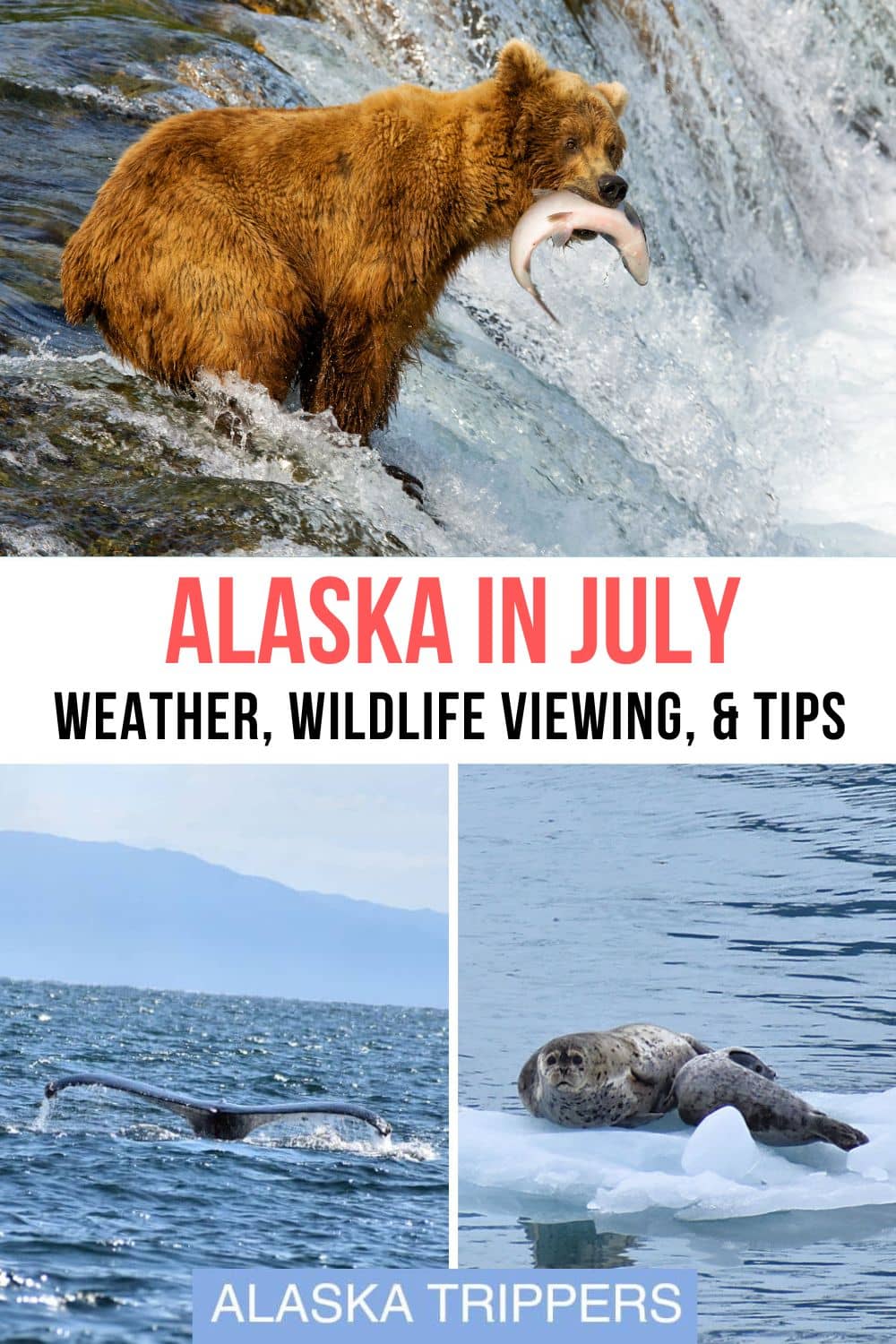 Alaska In July: Great For Adventures In The Midnight Sun - Alaska Trippers