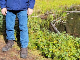 Hiking in NORTIV 8 Hiking Boots