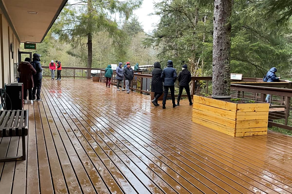 Outside viewing area on a wet day