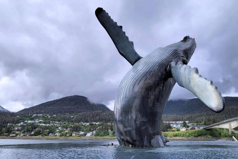 The Whale Project humpback whale sculpture