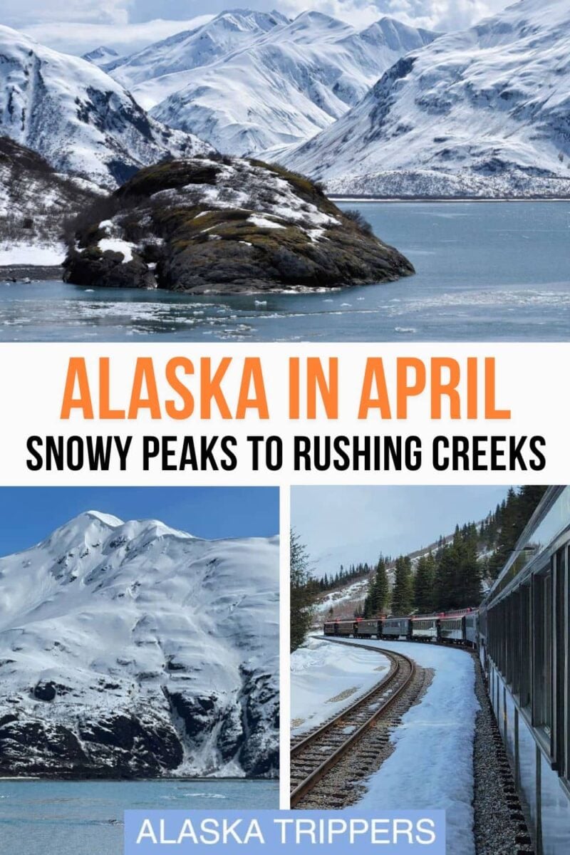Our guide to visiting Alaska in April includes what to expect of the weather, what tours are available and which places are best to visit. Discover what it’s like to cruise off season and benefits of sailing early. Snowy Alaska landscapes in April and riding the White Pass train