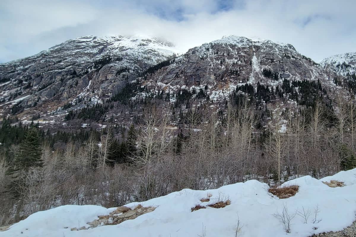 Snowy Alaska landscape