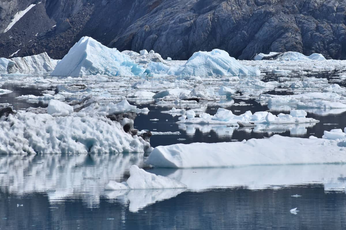 Ice filled waters near le Conte Glacier