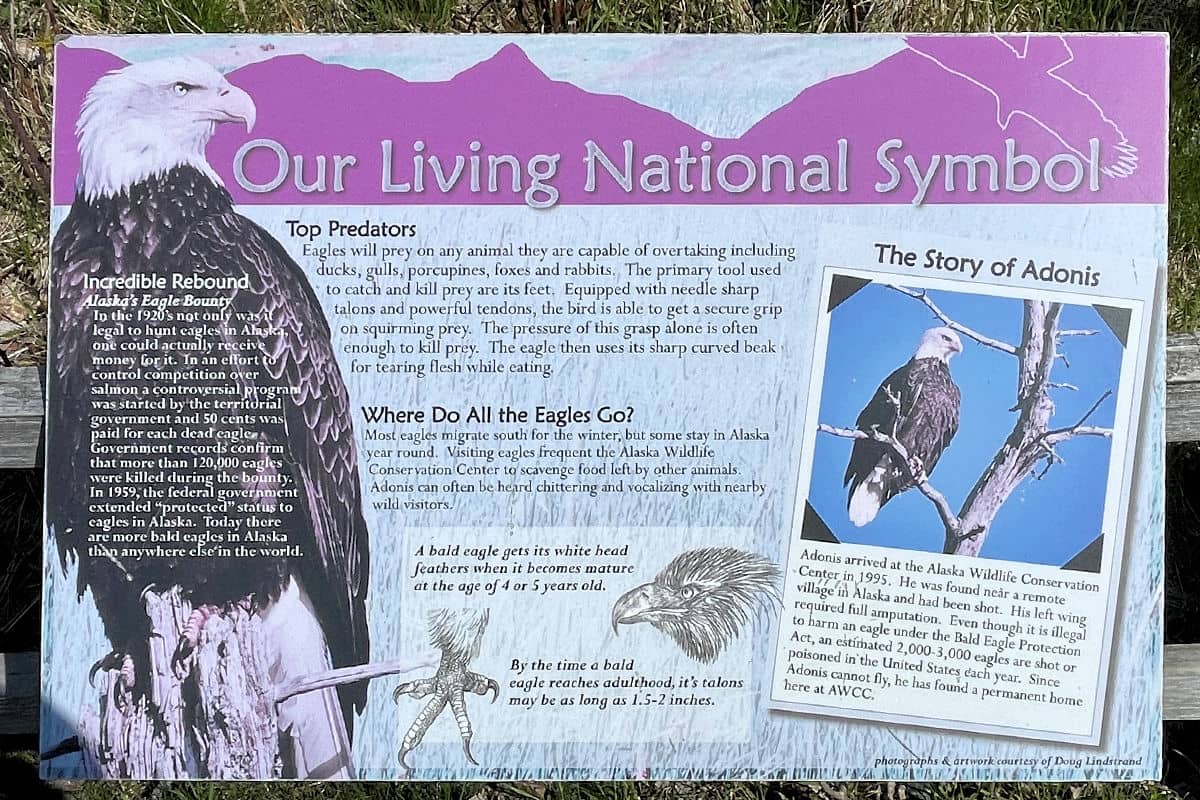 AWCC eagle signage