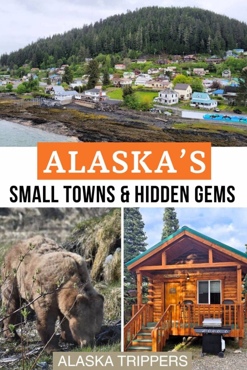 Wrangell, a small town in Alaska, a brown bear and cabin in Healy