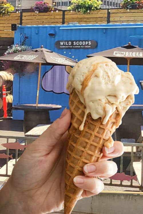 Wild Scoops ice cream