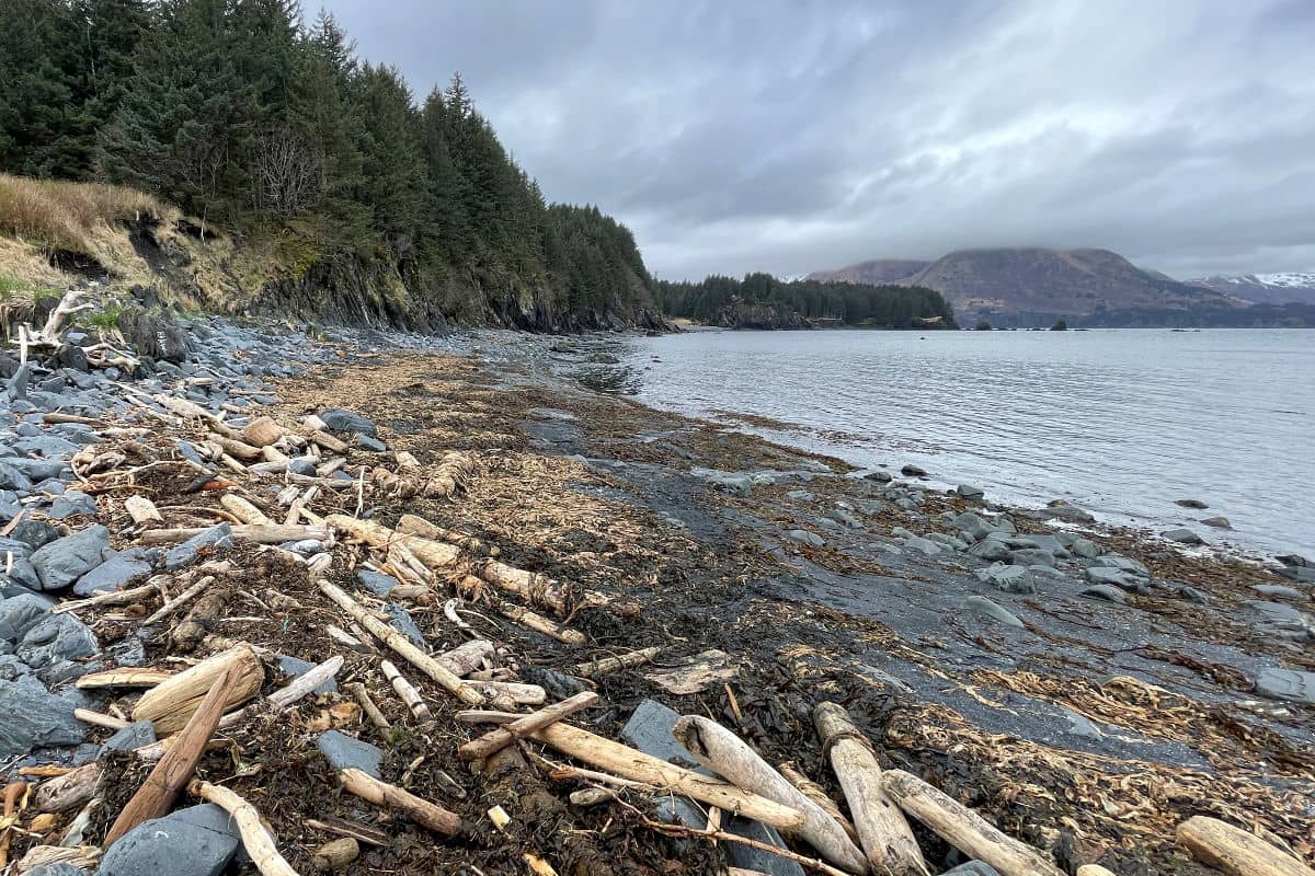 beach combing in Fort Abercrombie