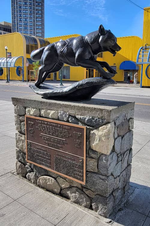 Husky sculpture in the mushing district