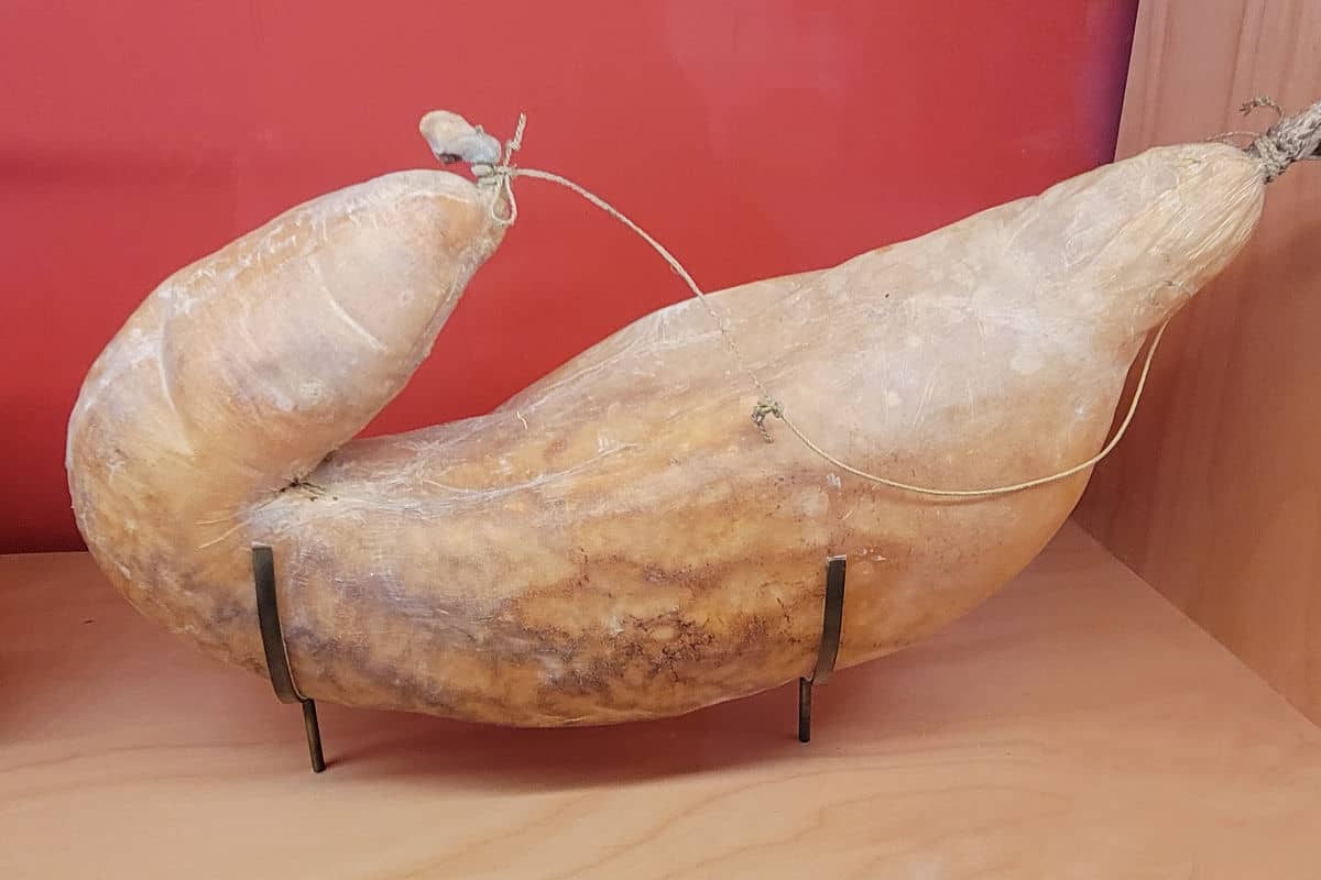 seal stomach container