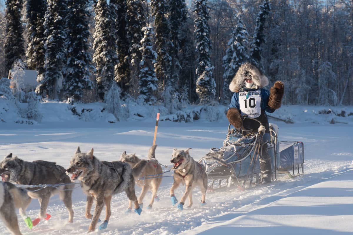 Paige Drobny in the Iditarod, heading to Nome, Alaska