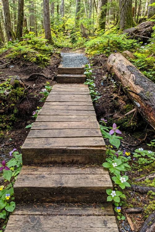 Battery Point Trail in Haines