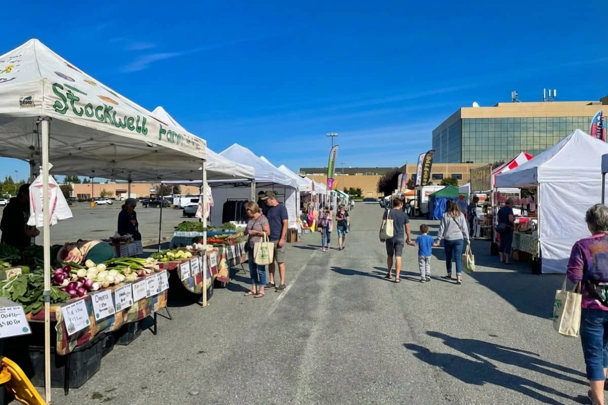 Visiting the Anchorage Saturday Market
