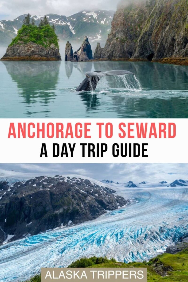 On a Kenai Fjords boat tour and Exit Glacier, enjoyed on a day trip from Anchorage to Seward