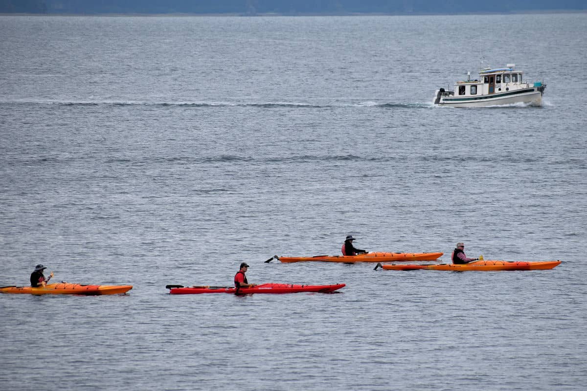 A kayaking excursion group at Icy Strait Point